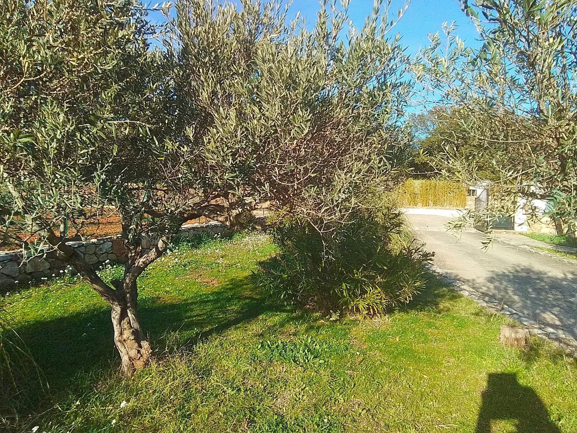 Cotignac Sejour Vacances Exterior photo